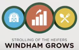 Windham Grows