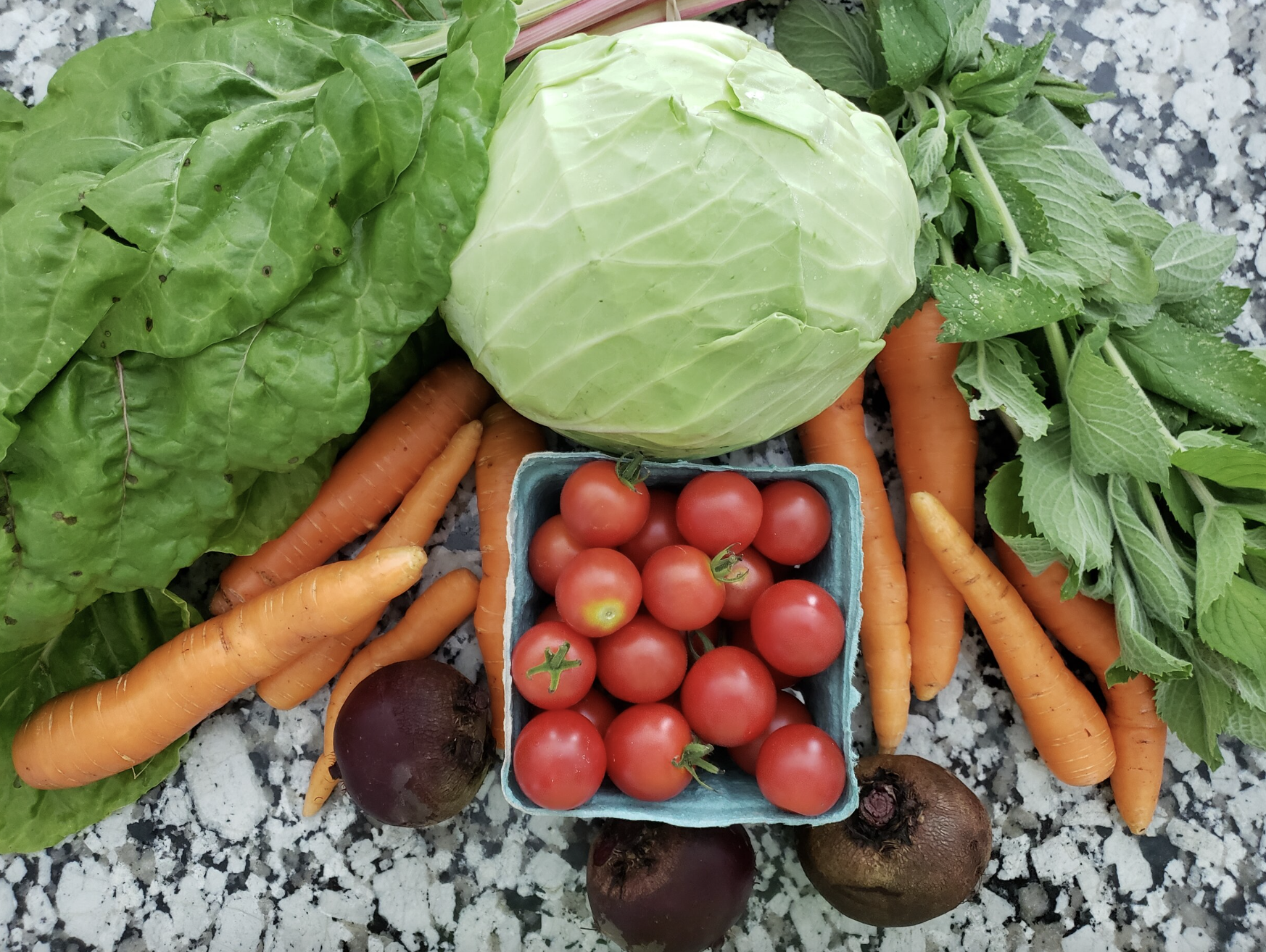 foodconnects_background.png